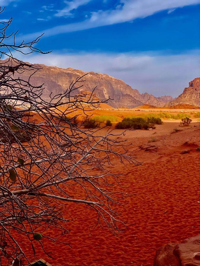 Sand And Stone Camp - Wadi Rum Desert Εξωτερικό φωτογραφία