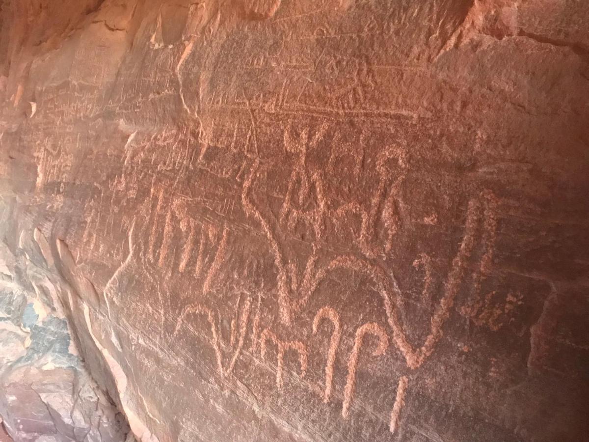 Sand And Stone Camp - Wadi Rum Desert Εξωτερικό φωτογραφία