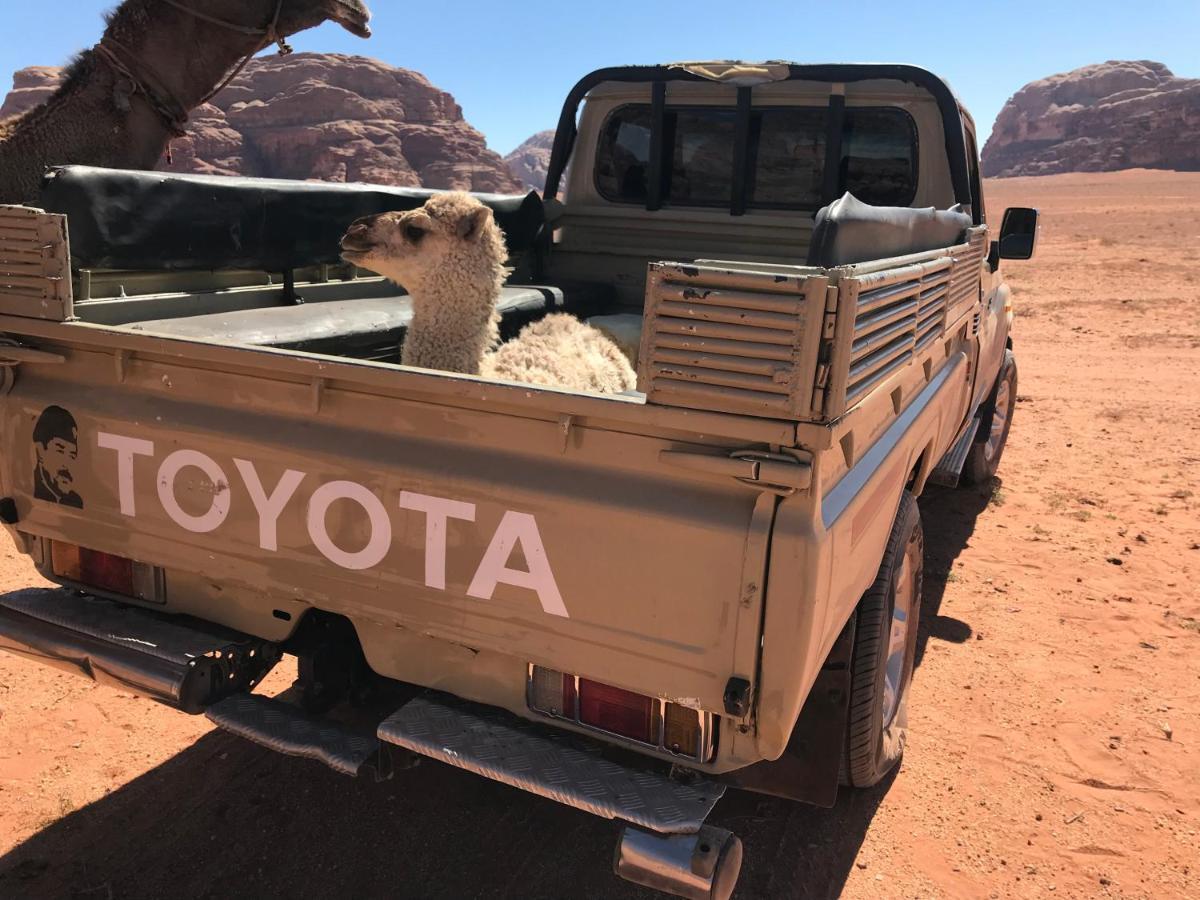 Sand And Stone Camp - Wadi Rum Desert Εξωτερικό φωτογραφία