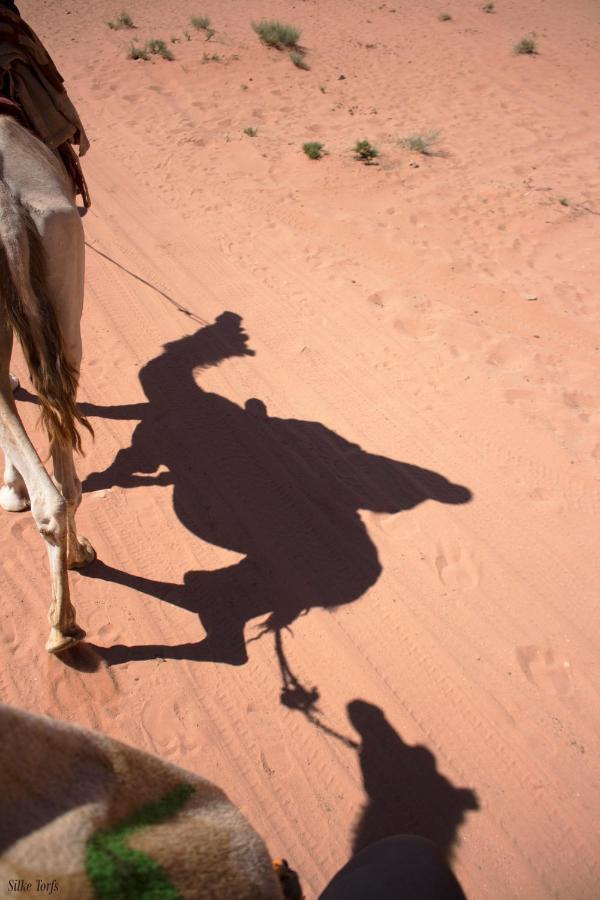 Sand And Stone Camp - Wadi Rum Desert Εξωτερικό φωτογραφία